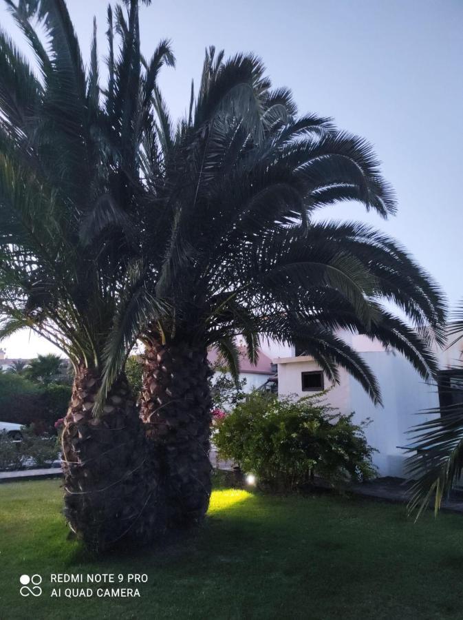 Suite לה אוליבה מראה חיצוני תמונה